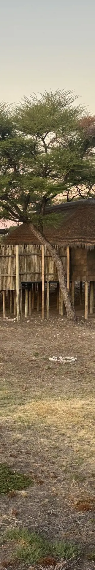 Onguma Camp Kala – ultra-exklusives Lodge-Erlebnis